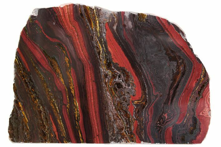 Free-Standing Polished Tiger Iron Stromatolite - Ga #222115